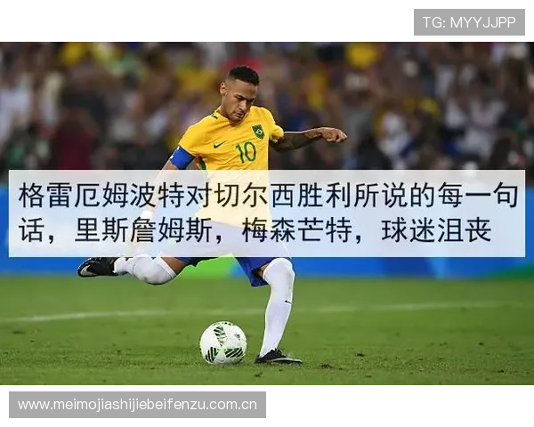 世界杯挪威对法国比赛胜负平对球迷关注点和球队士气的具体影响分析 世界杯挪威对法国比赛胜负平对球迷关注点和球队士气的具体影响分析